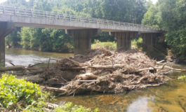 Storm debris cleanup will cost $50,000