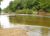 Heavy rains bring tenfold increase in e.coli levels in Rivanna