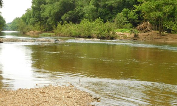 Heavy rains bring tenfold increase in e.coli levels in Rivanna