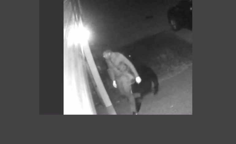 Two vehicles stolen; four vehicles burglarized