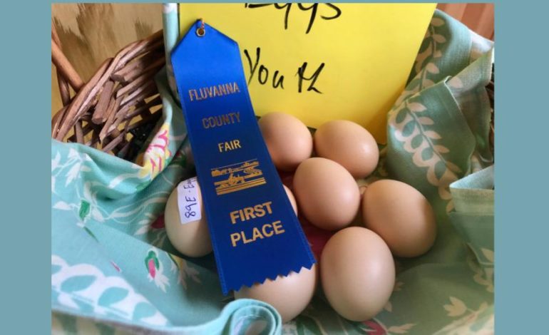 2018 Fluvanna Fair-Home Arts  1st Place winners