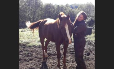 Horse ministry builds bonds