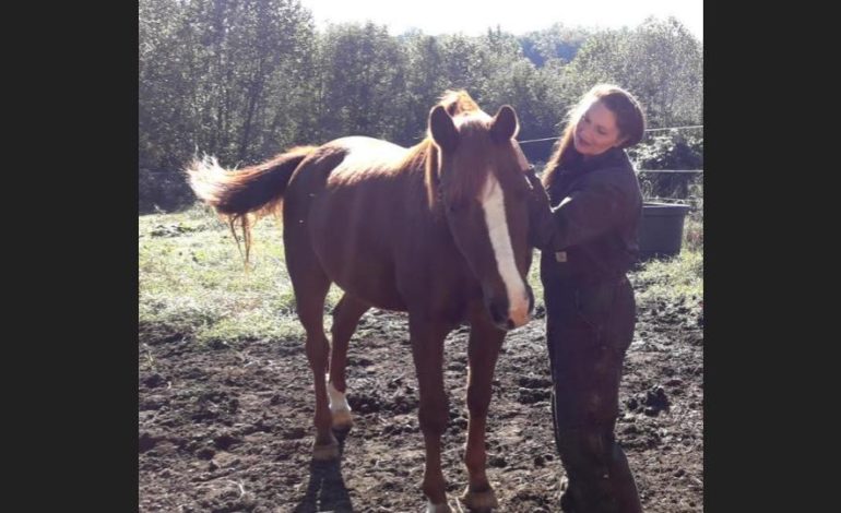 Horse ministry builds bonds