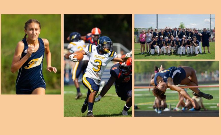 Sports highlights of 2018