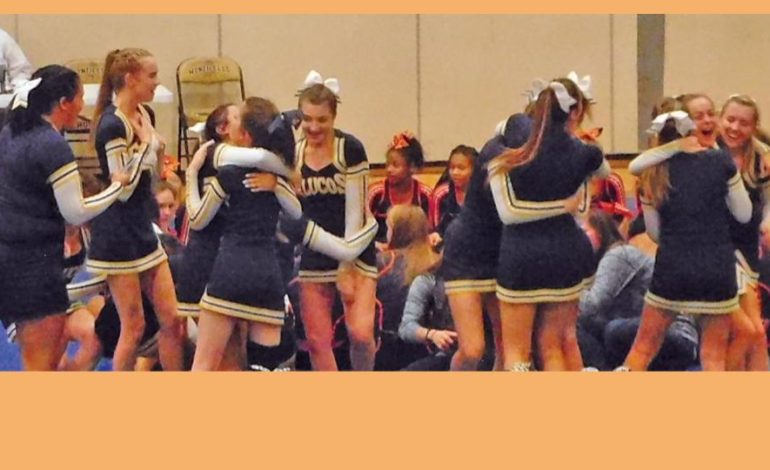 Fluco cheer team takes second place