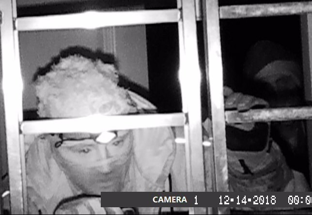 Break-in suspects sought