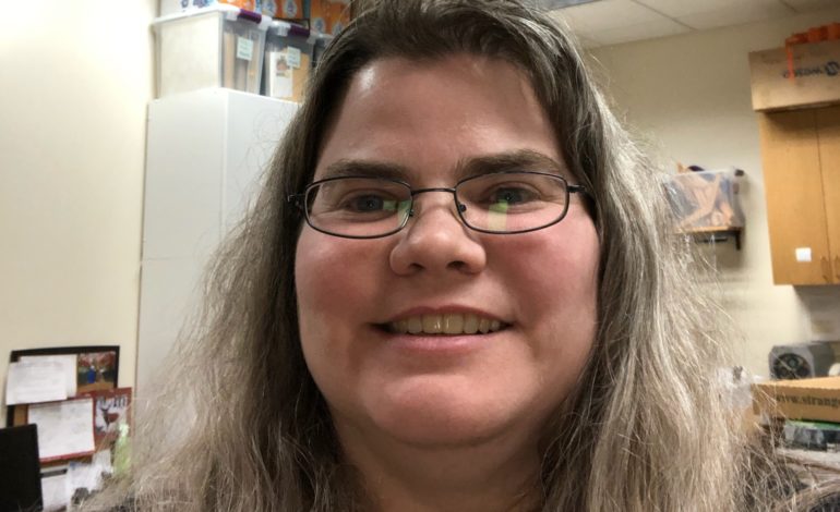 Get to know Cyndi Hoffman, library director