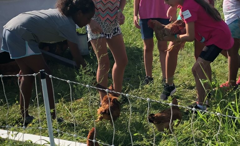 Get to know extension agent Kim Mayo