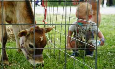 Old Farm Day draws thousands