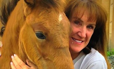 Saving horses a passion for local woman