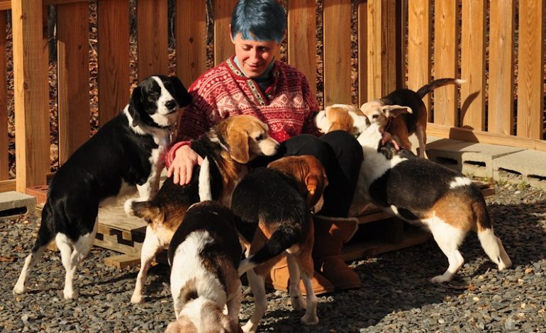 Writer advocates for older dogs, cats