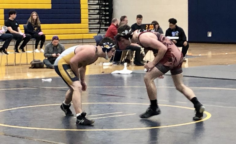 Fluco wrestlers lobby to wrestle, and then do well