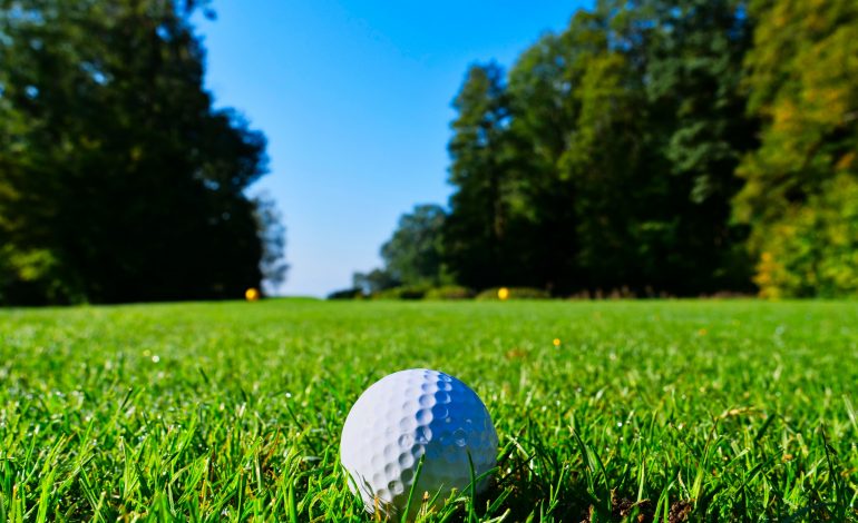 Fluvanna sports in review - 2020