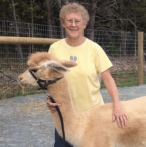 From a sweater to alpacas, one farmer's journey