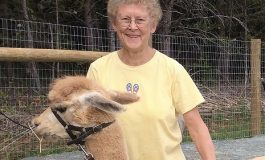 From a sweater to alpacas, one farmer's journey