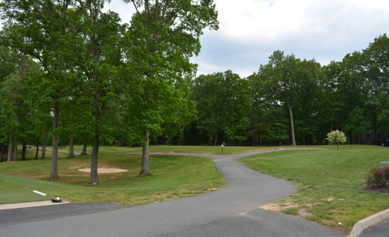 Women’s golf at the Lake - Three options and a tournament