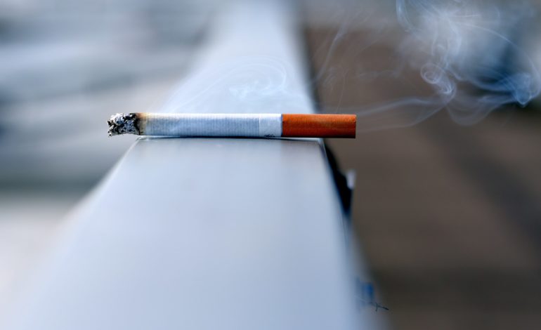 Supervisors approve kennel; join cigarette tax board