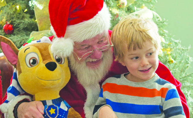 Festival of Trees kicks off holiday weekend at Lake Monticello