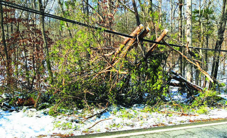 Snowstorm cripples Fluvanna