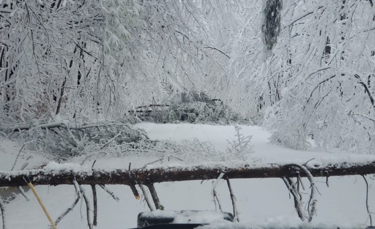 Fire forces Lake family out, three pets lost