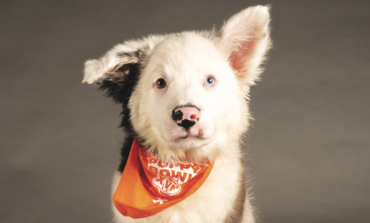 Four local pups featured in Animal Planet’s “Puppy Bowl XVIII”