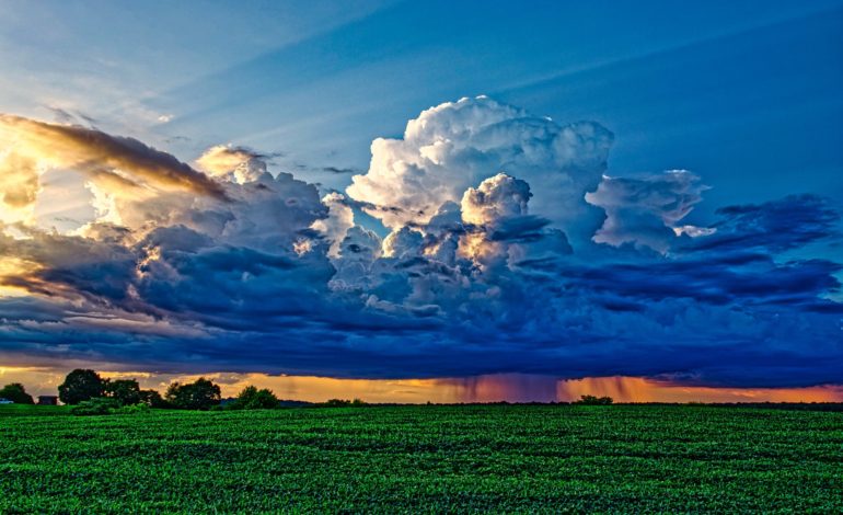 Scruggs talks about  photography
