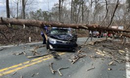 VDOT rescinds bill sent to couple whose car was destroyed by toppled tree