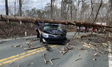 Car on Rt. 53 crushed by uprooted tree; VDOT billed driver for removing it