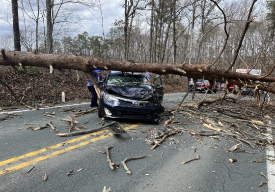 Car on Rt. 53 crushed by uprooted tree; VDOT billed driver for removing it