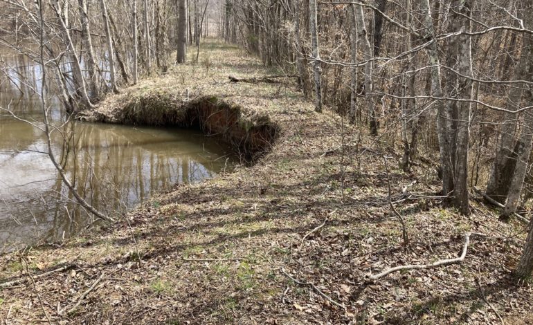 Pressure on McIver Dam relieved