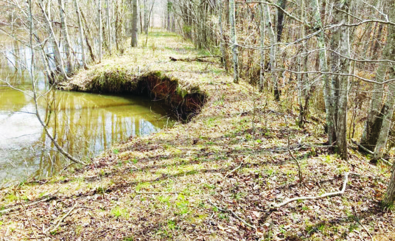 More details about McIver Lake dam revealed