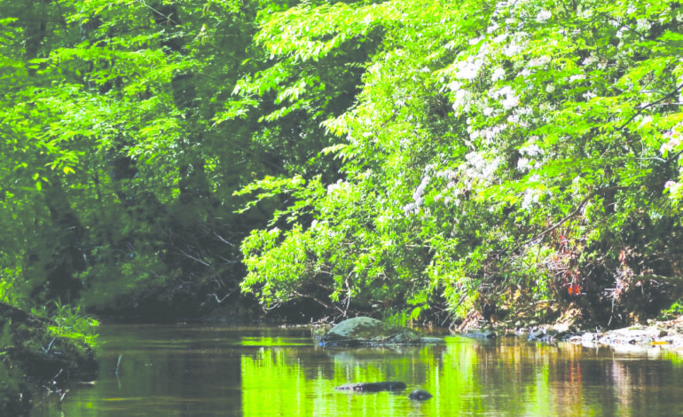 New 73-acre nature preserve slated for Fluvanna