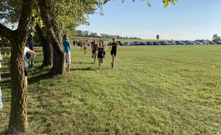 Fluco cross country squads host meet at Pleasant Grove