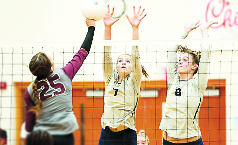 Fluco volleyball team tops Western Albemarle, now 12-2