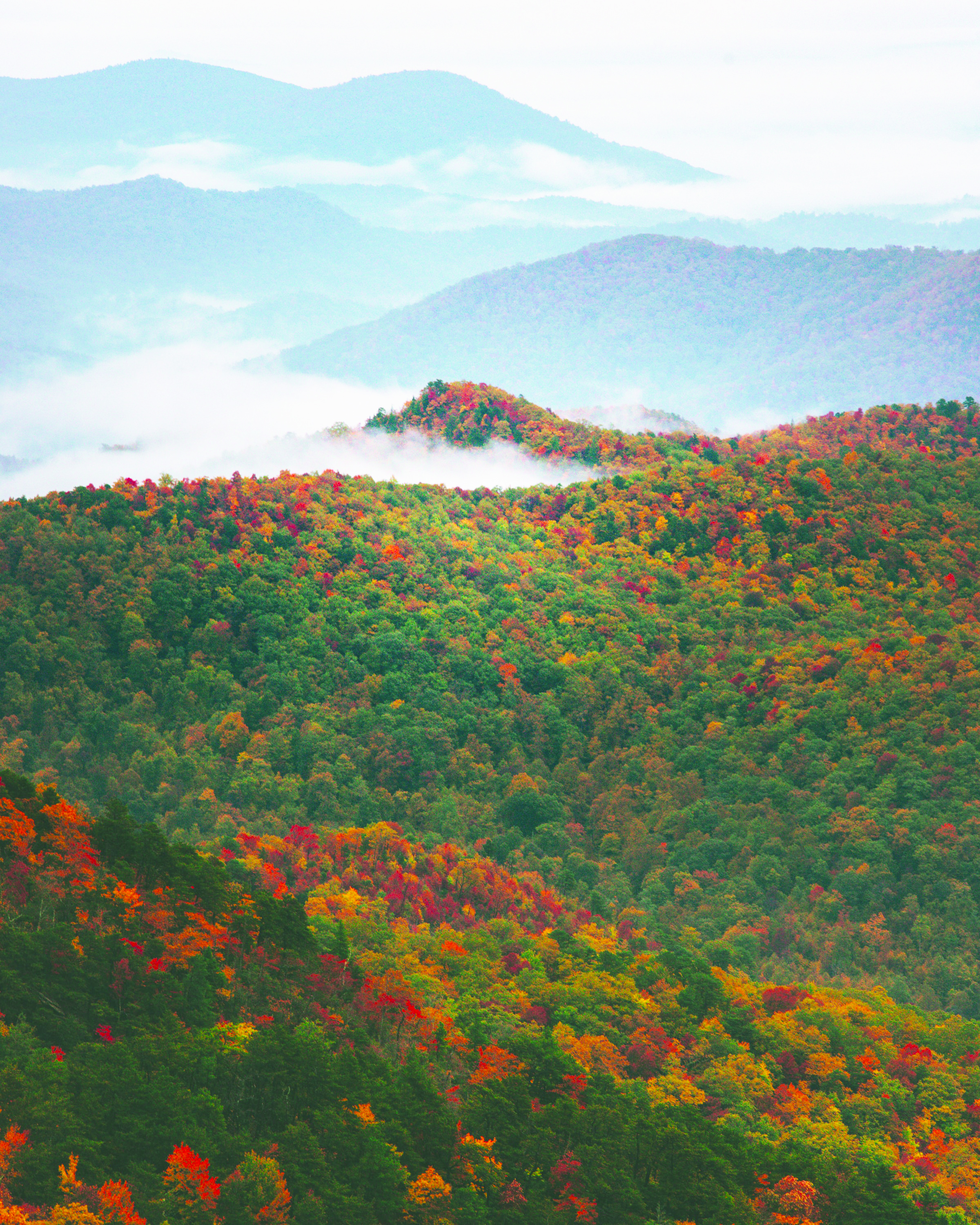 Enjoy Virginia’s peak colors with fall foliage driving tour