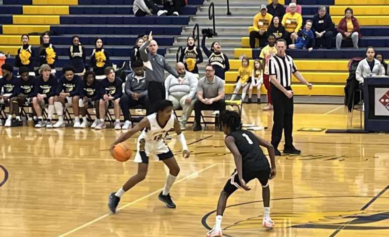 <strong>Flucos get bumped from Region 3C basketball playoffs</strong>