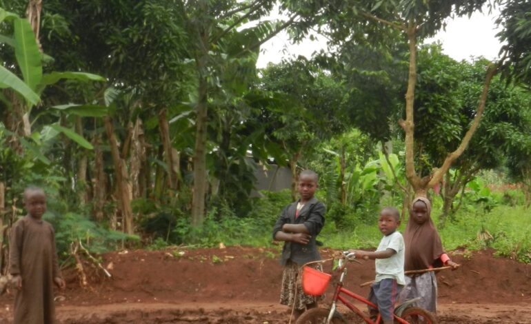 <strong>Sts. Peter & Paul teams up with Catholic Health Initiatives for Uganda</strong>