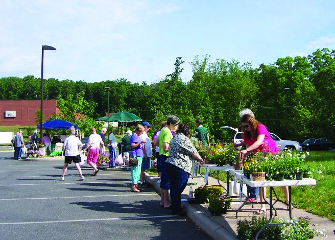 <strong>Master Gardeners are here to help</strong>