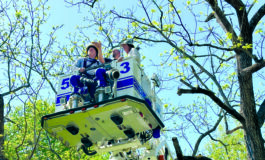 <strong>Two Fluvanna County men rescued from 40 feet in the air</strong>