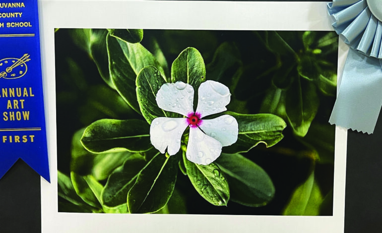 <strong>High school showcases art students</strong>