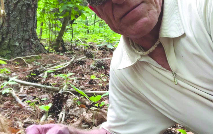 Fluvanna Faces: Gary Greenwood