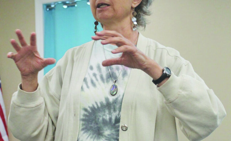 Olivier talks about harmony in painting