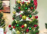 Foundation gearing up for Festival of Trees