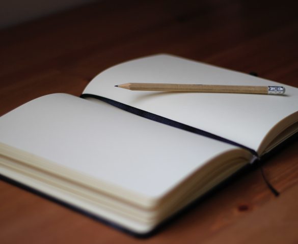 Board Formalizes FOIA Safeguards, Reaffirms Sanctuary Status