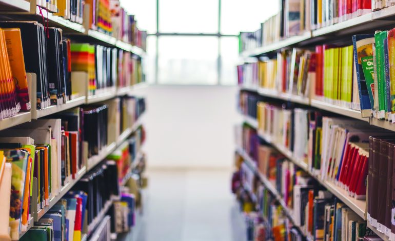 School book review members wrestle with content of two novels