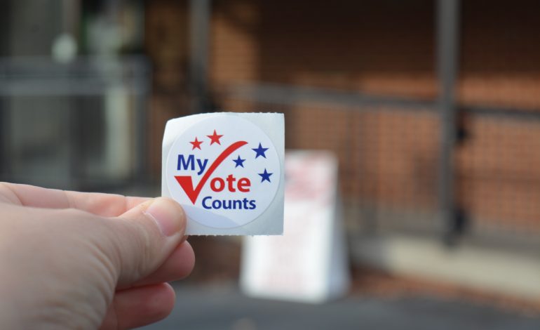 Hashmi, Jones win statewide Democratic primary