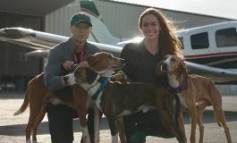 Fluvanna SPCA and Pilots to the Rescue team up to help dogs