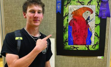 Annual FCHS art show features variety
