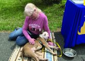 Fluvanna SPCA needs fosters and volunteers