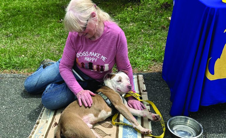 Fluvanna SPCA needs fosters and volunteers